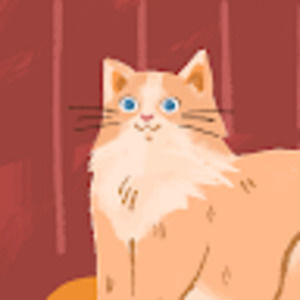 Meet your Posher, Spencer